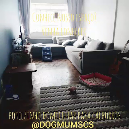 Dogmum Hotelzinho Domiciliar para Cachorro